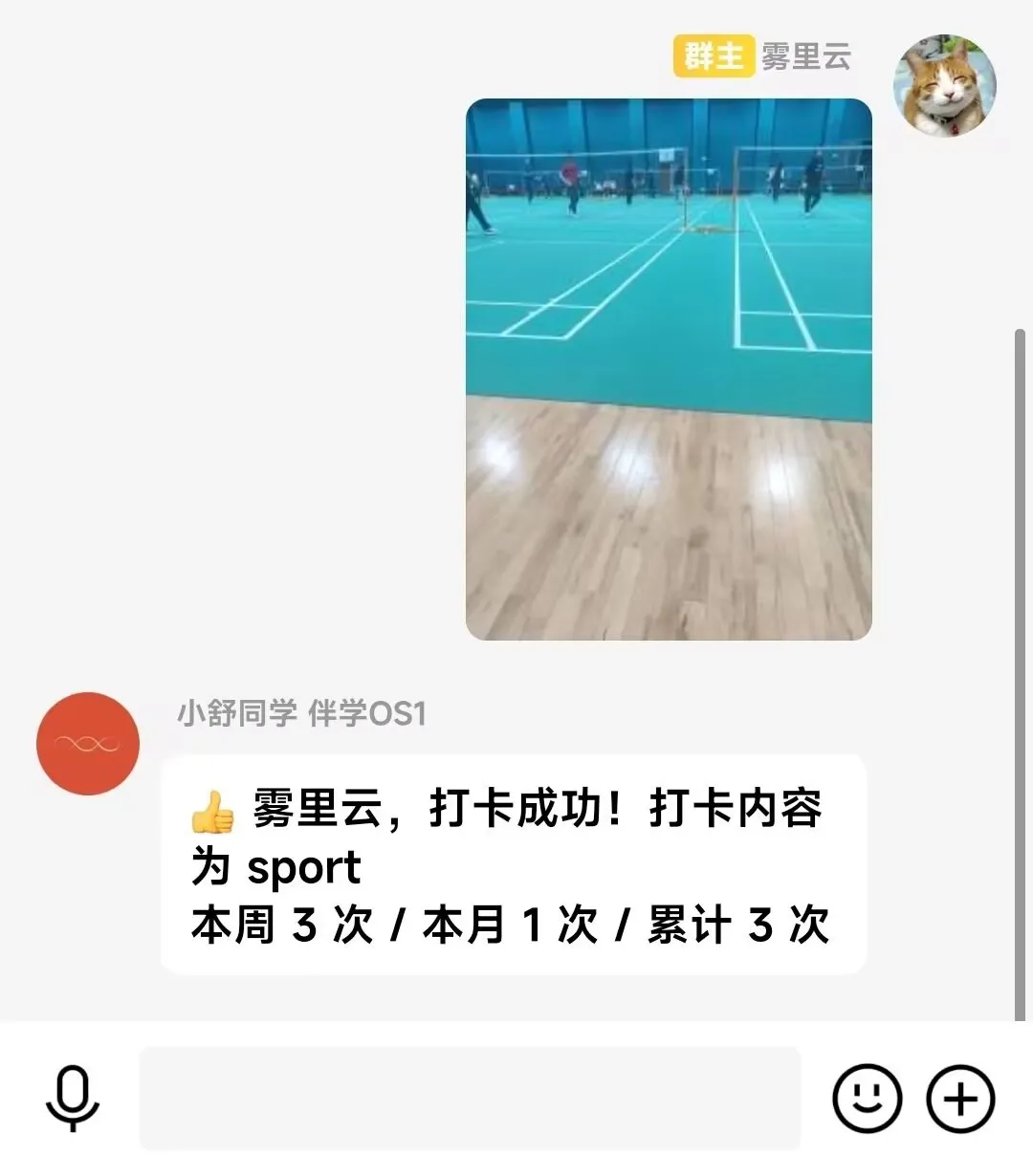Indoor Badminton Sports Scene