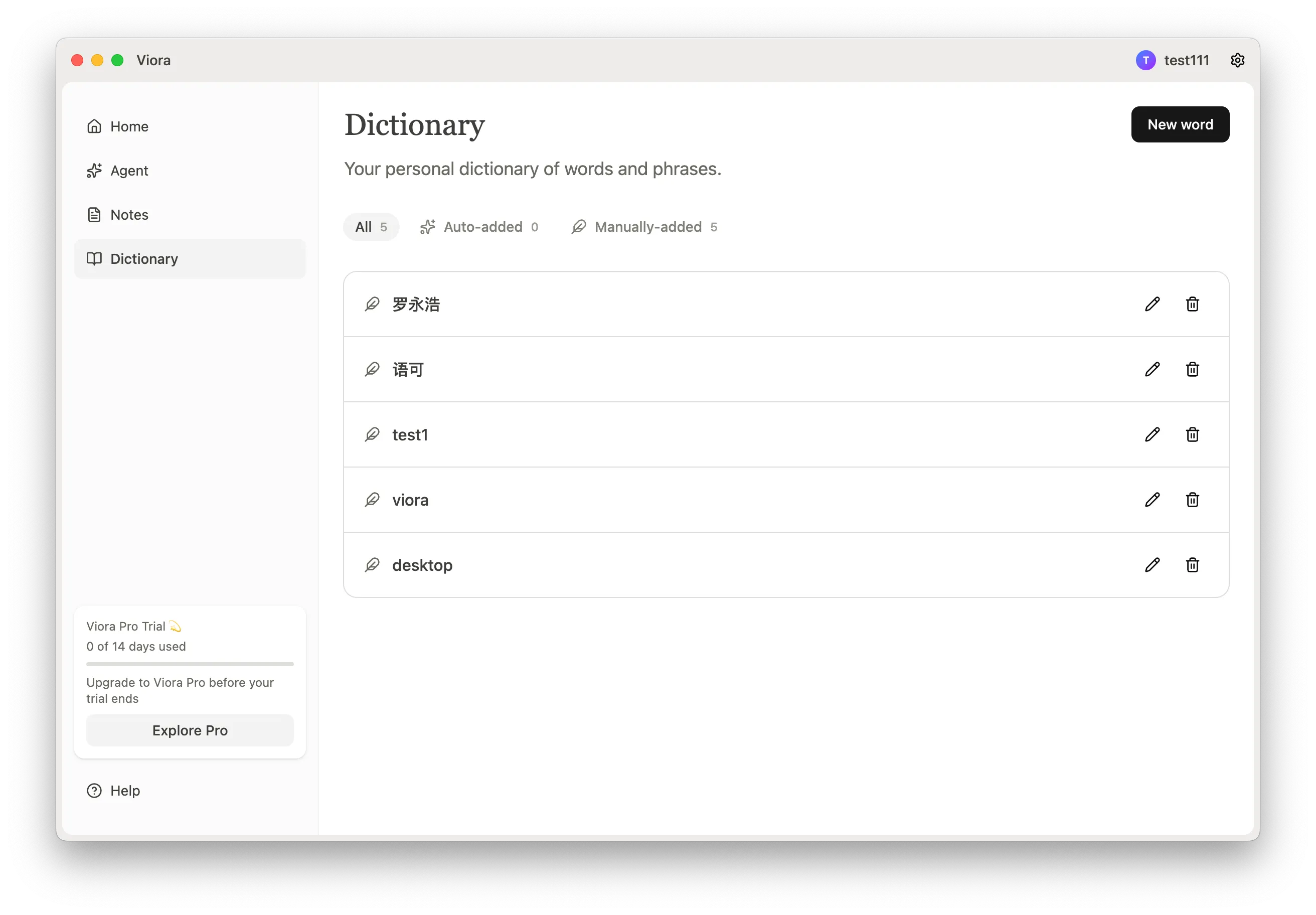 Personal Dictionary Interface