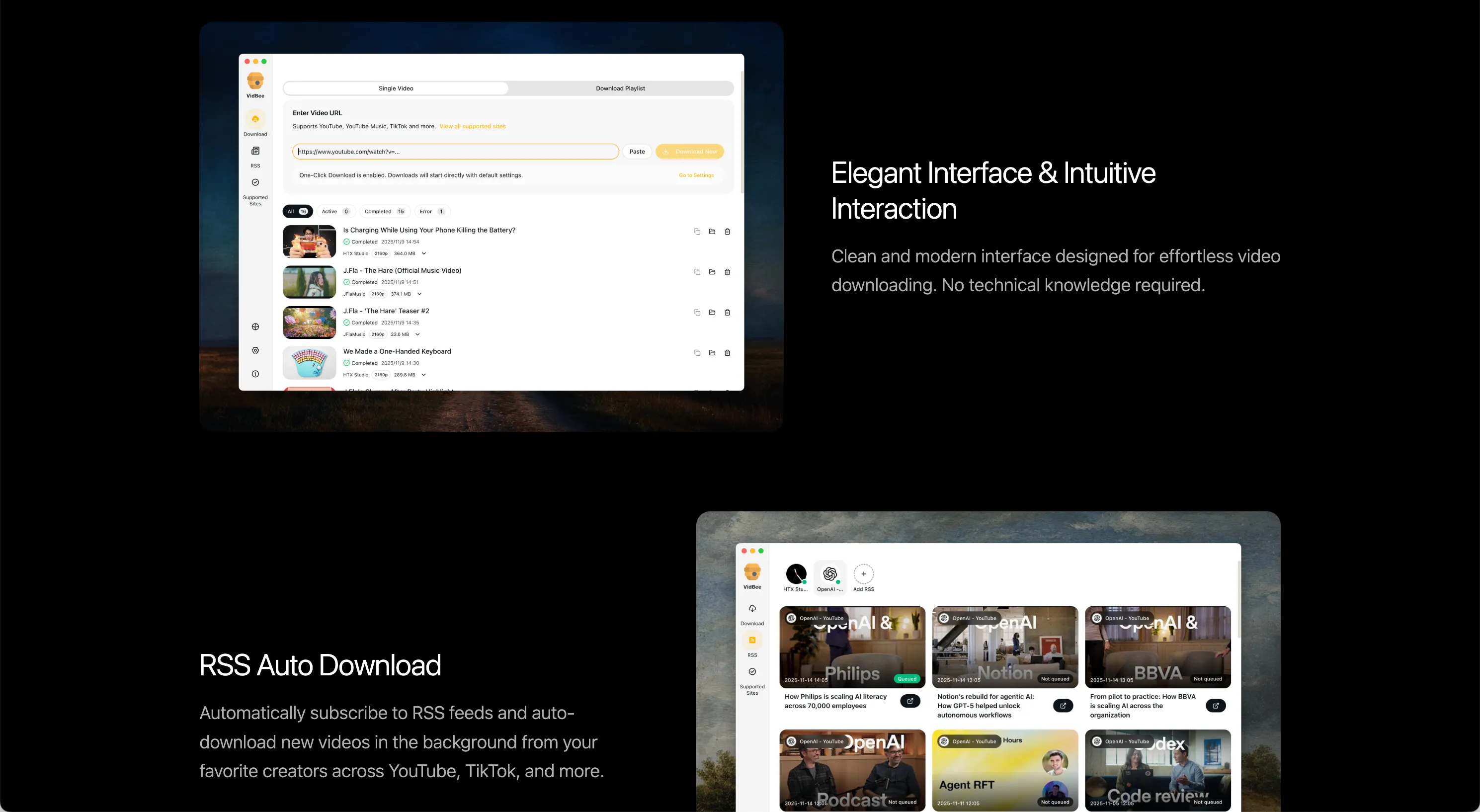 Video Download Management Tool