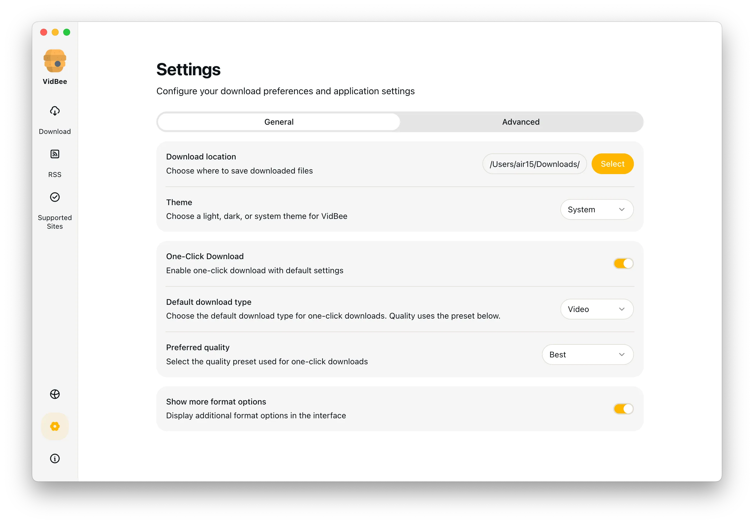 VidBee Application Settings Interface