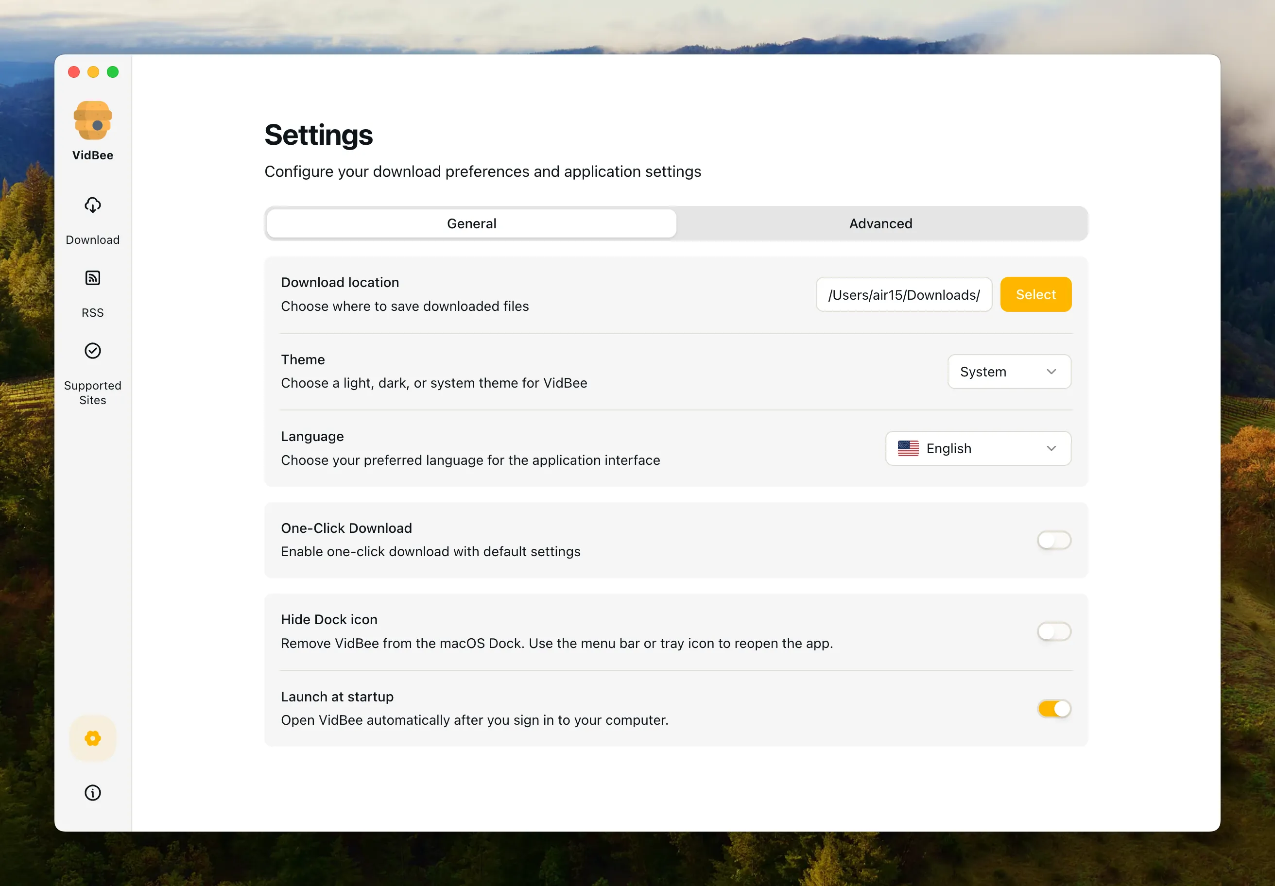 VidBee Application Settings Interface