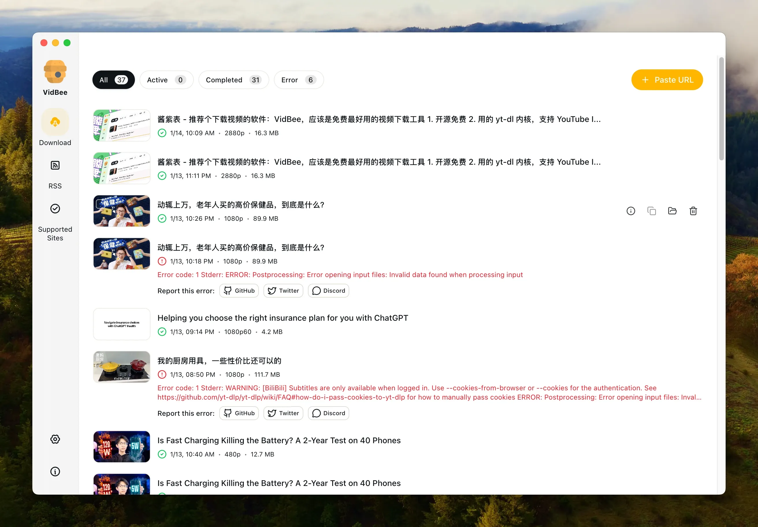 视频下载管理界面