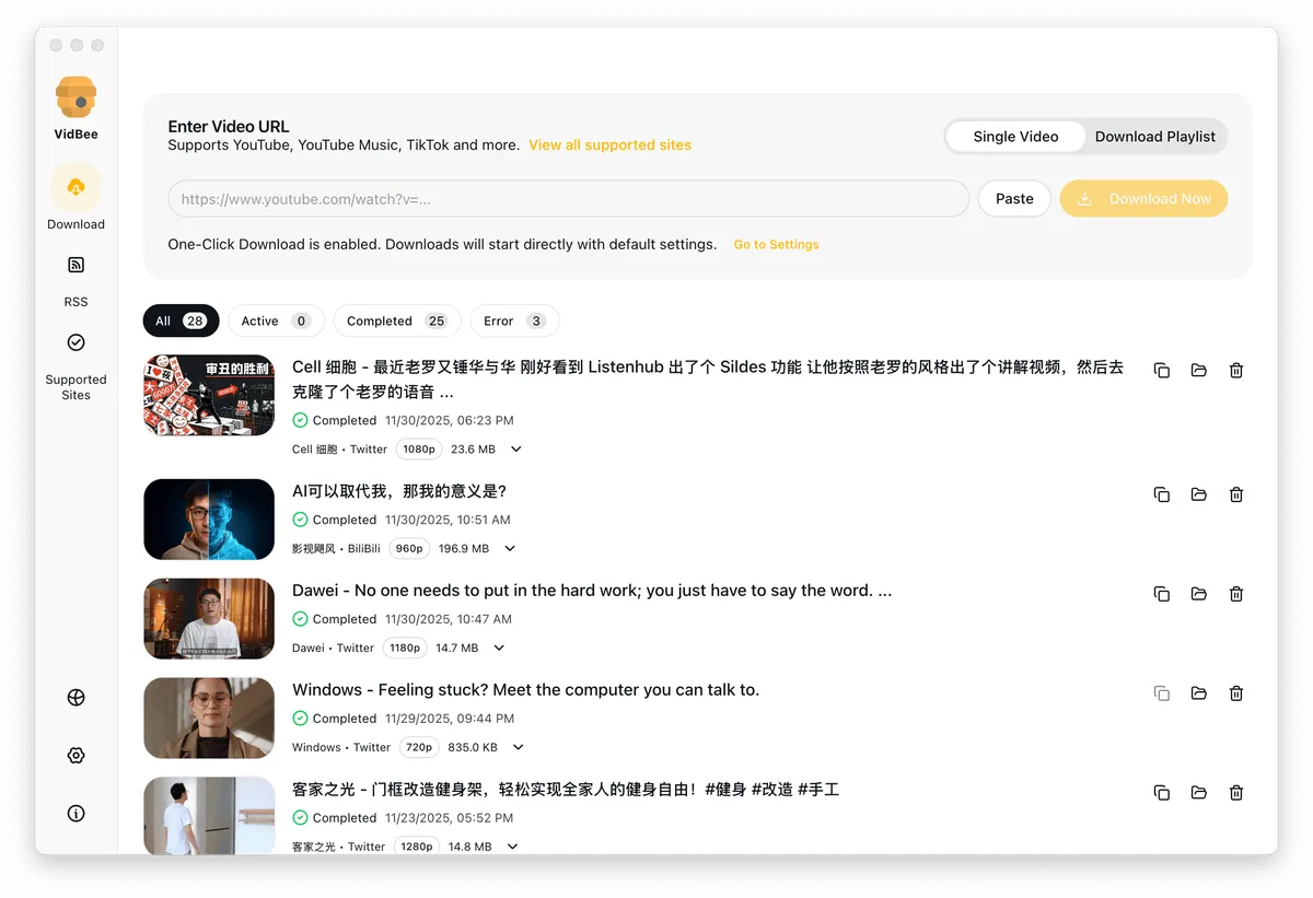 Video Download Management Interface