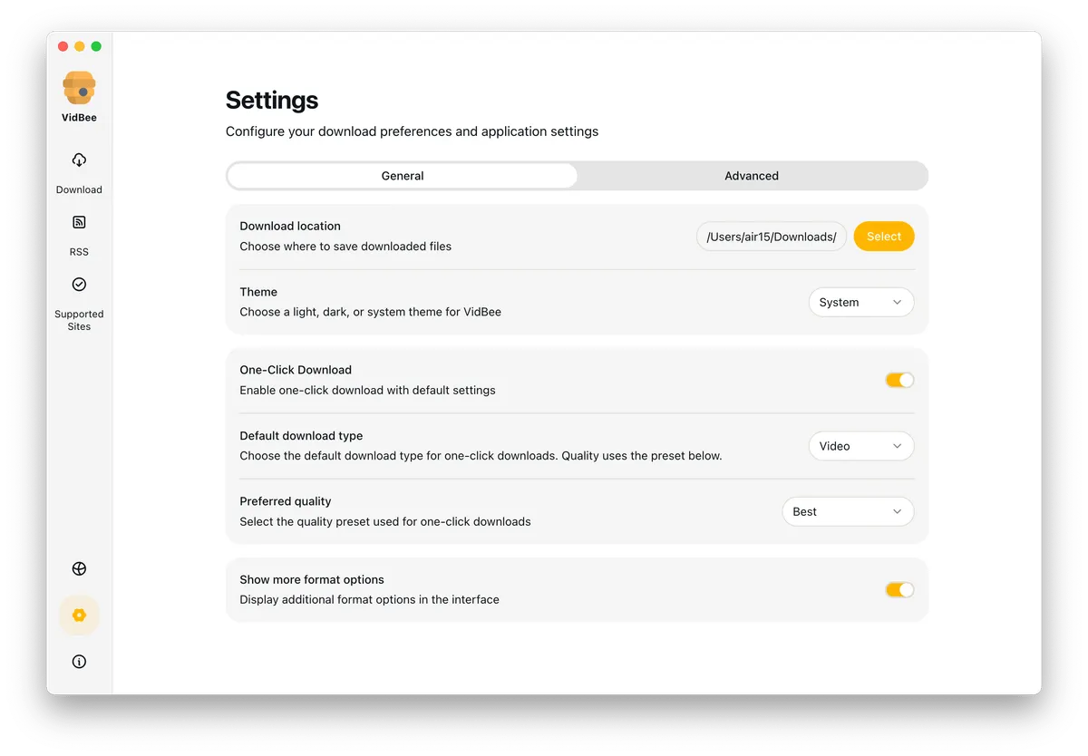 VidBee Application Settings Interface