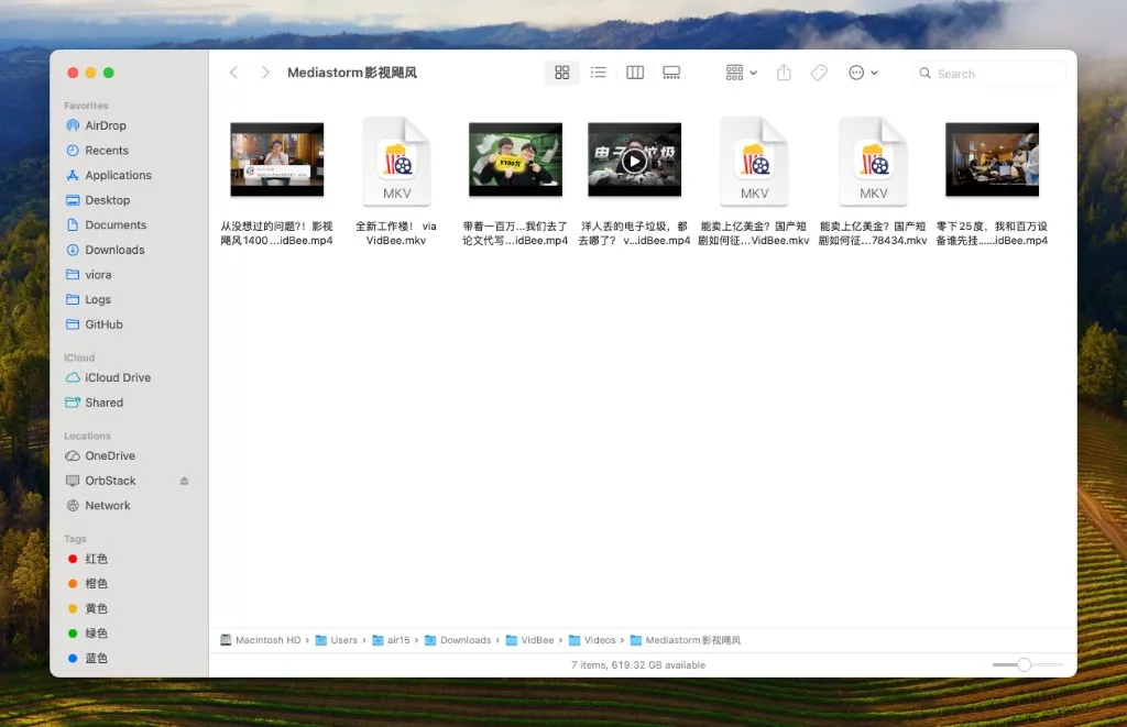 VidBee 下载文件管理效果